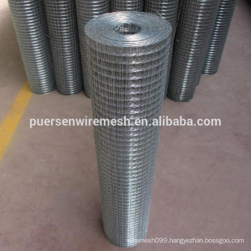 Galvanized square hole welded wire mesh manufacture